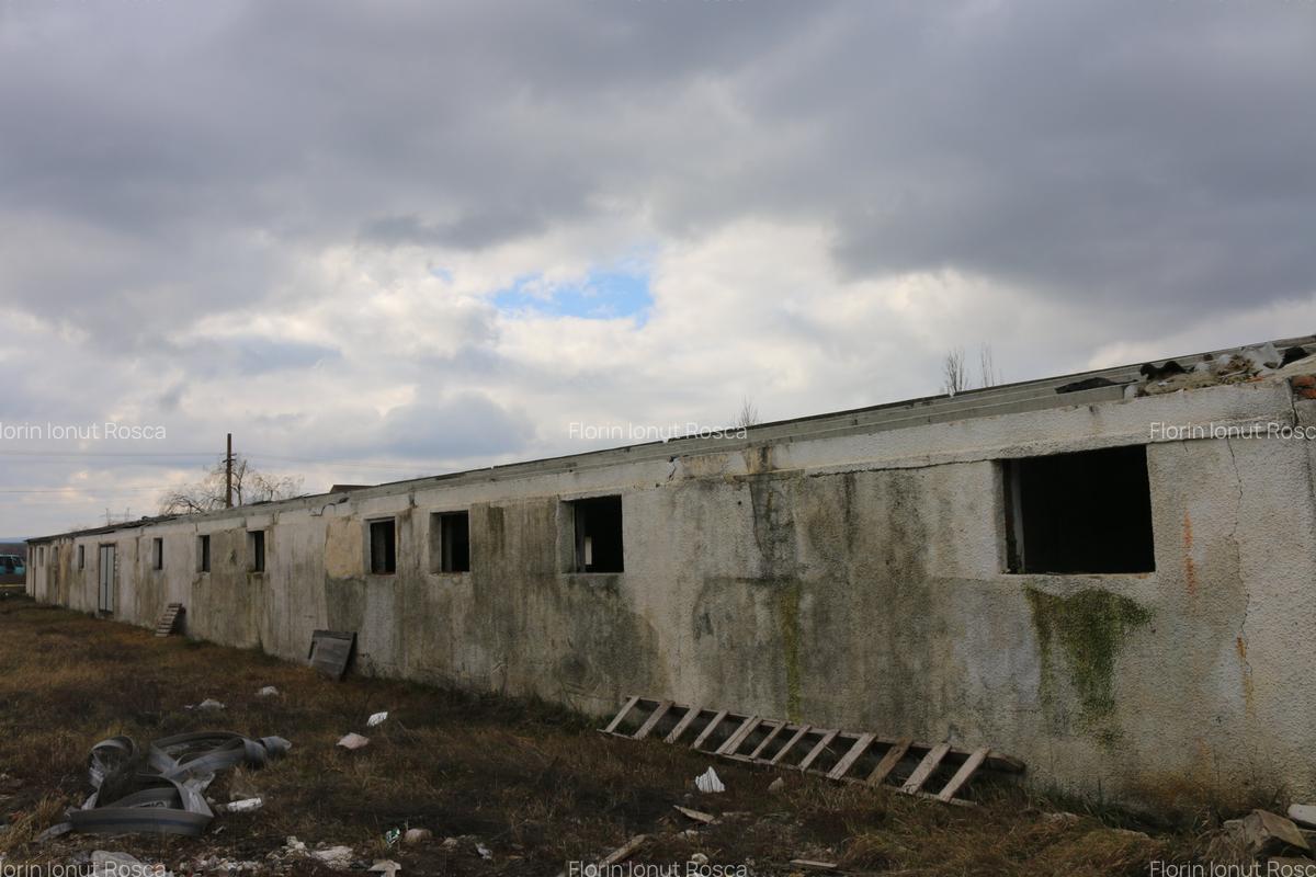 Spațiu industrial, 600 mp în Lețcani - 1