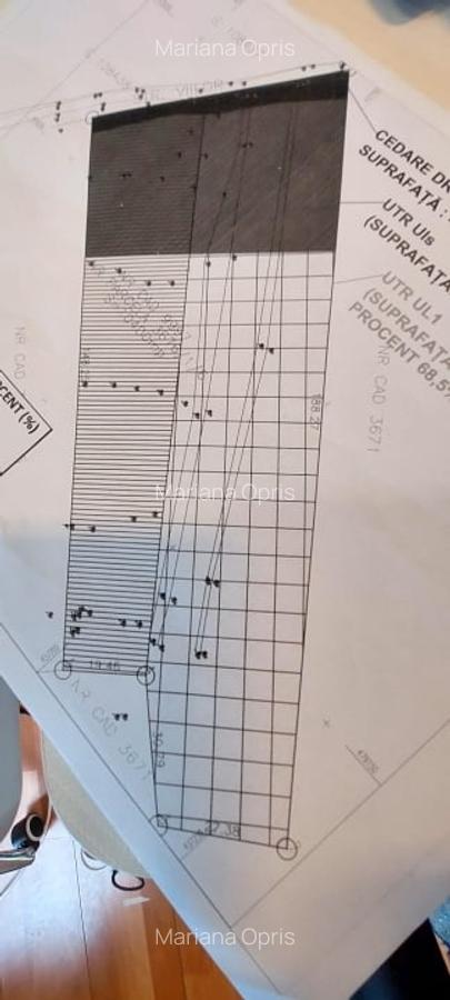 Teren Intravilan 6500mp, spre vanzare in Gusterita - 7