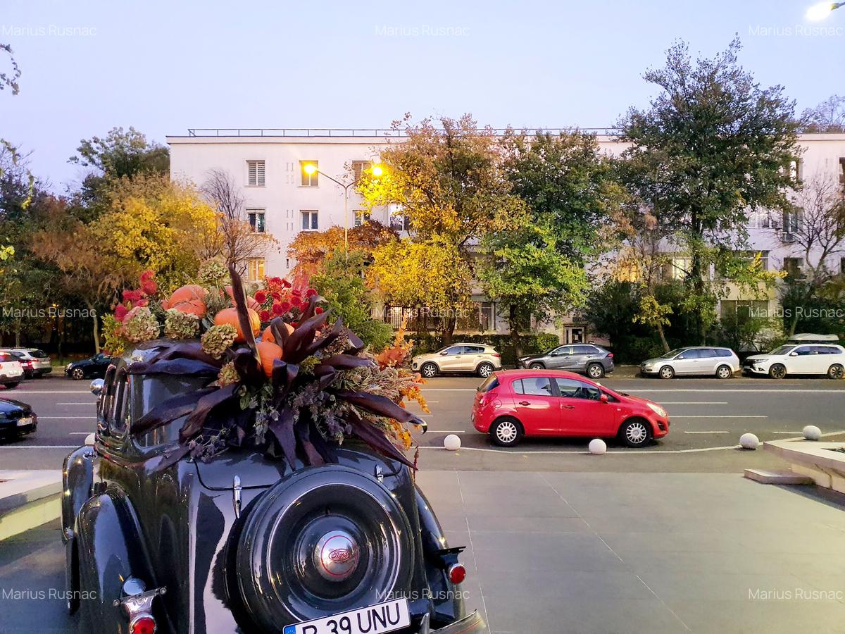 Floreasca, 2 camere prima inchiriere - 4