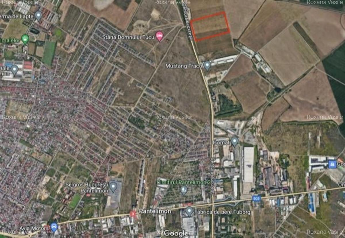 Centura  Pantelimon   Suprafata  Compacta  71 889mp Teren  Extravilan - 1