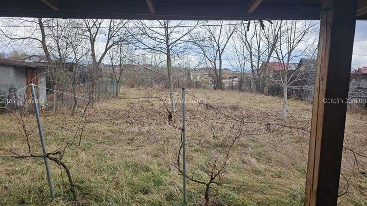 Casa de inchiriat, Sanpetru - 4