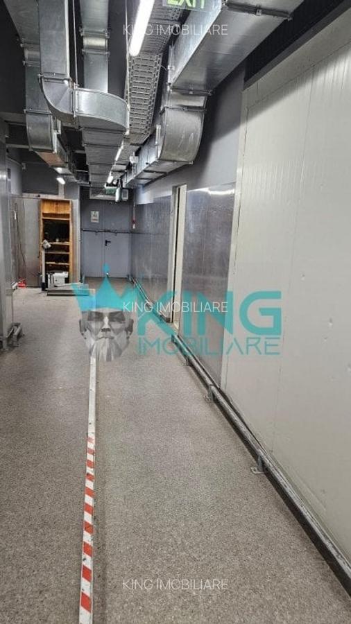 Spațiu comercial, 1100 mp în Domenii - 12