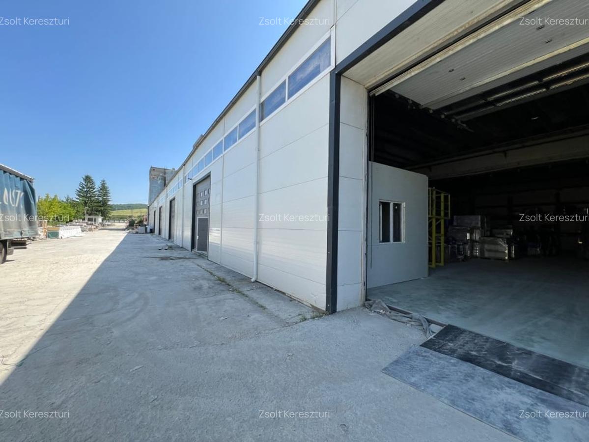 Hala industriala productie, depozitare Baciu - 600 mp - 4