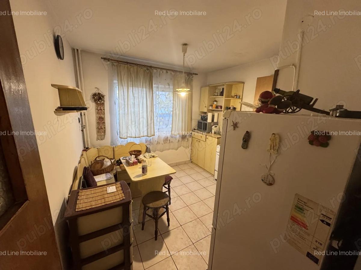 Apartament 3 camere, etaj 1 2 terase - Str. Topolnitei cu Dr. Babes - 9