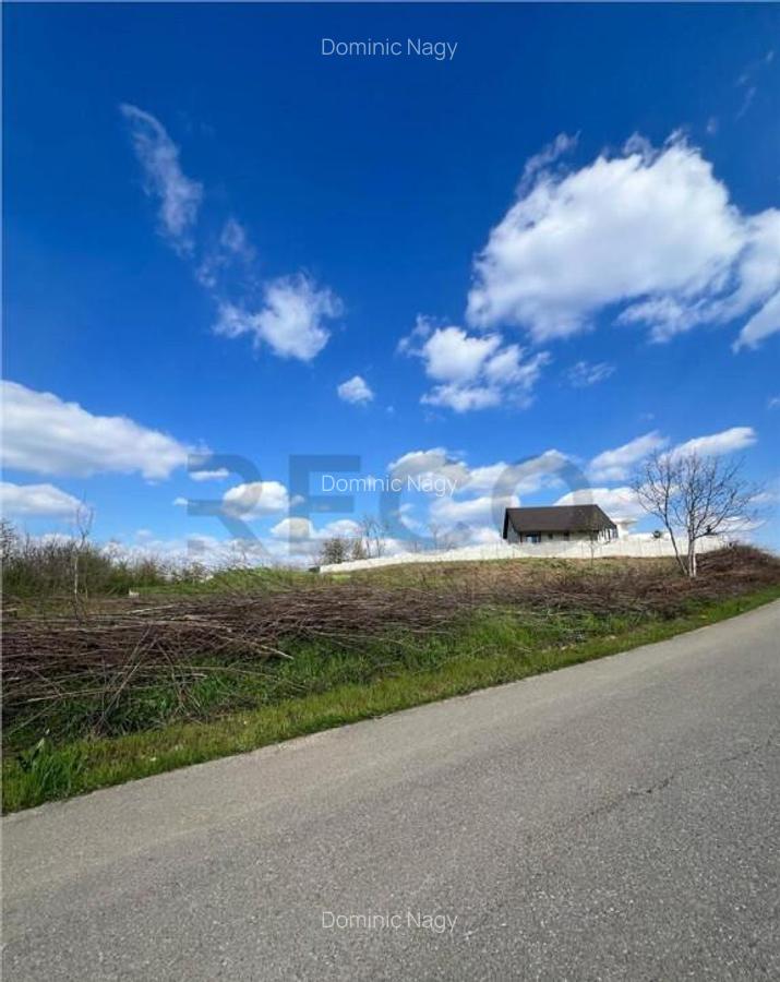 RECO teren de in zona Paleu - 1