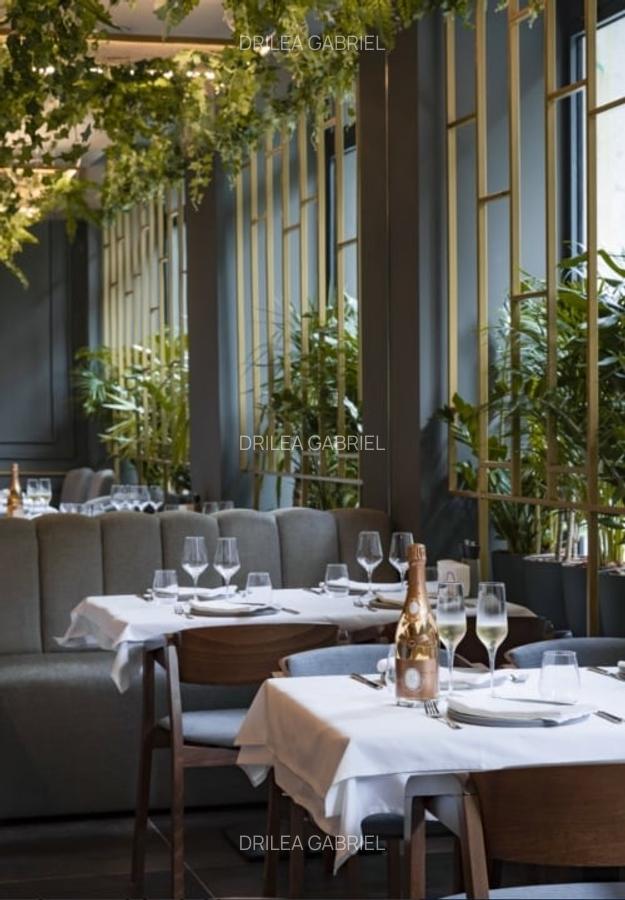 Investiție Premium în Brașov: Clădire istorică + Restaurant consacrat + Chiriaș - 4