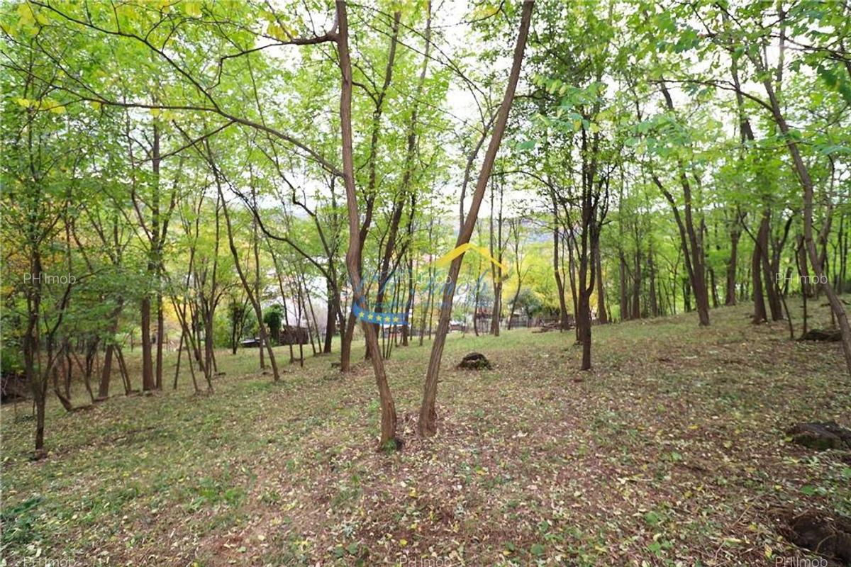 Casa de vanzare Alunis, Prahova - 12