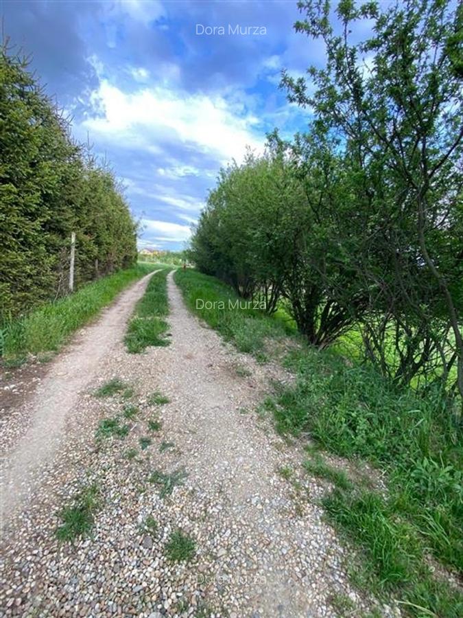 RECO Teren intravilan in  Saldabagiu de munte 985mp - 1