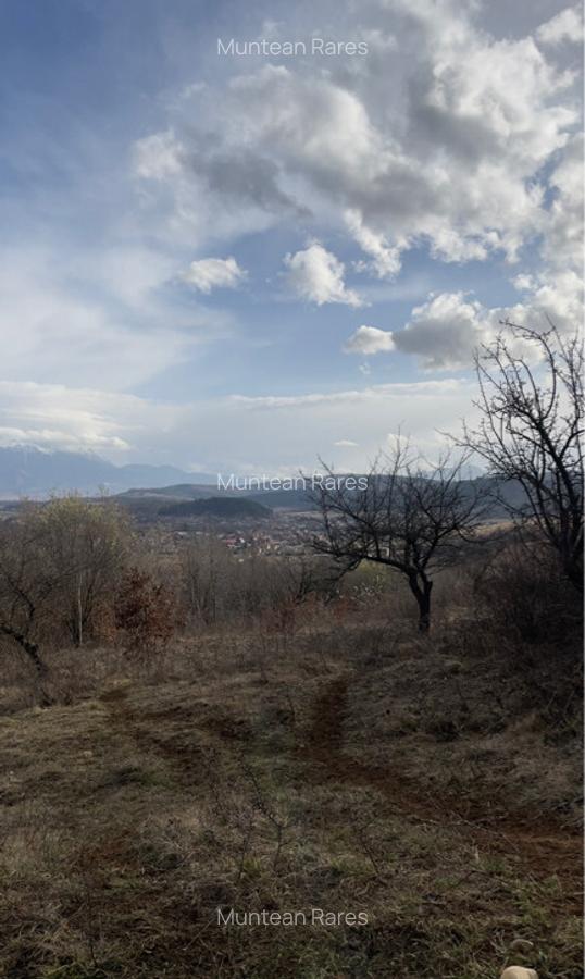 Teren intravilan 3400mp - 5