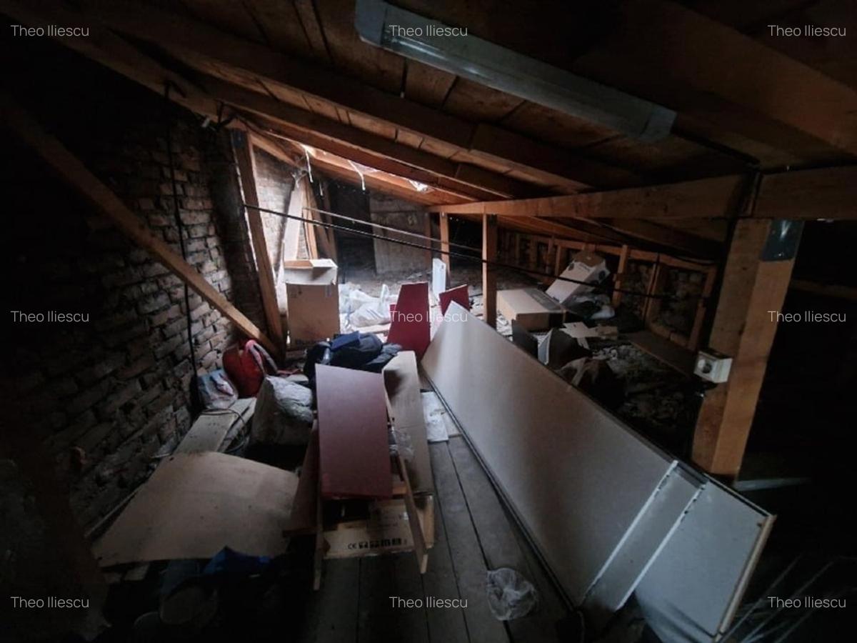 Vila Cotroceni singur in curte - 6