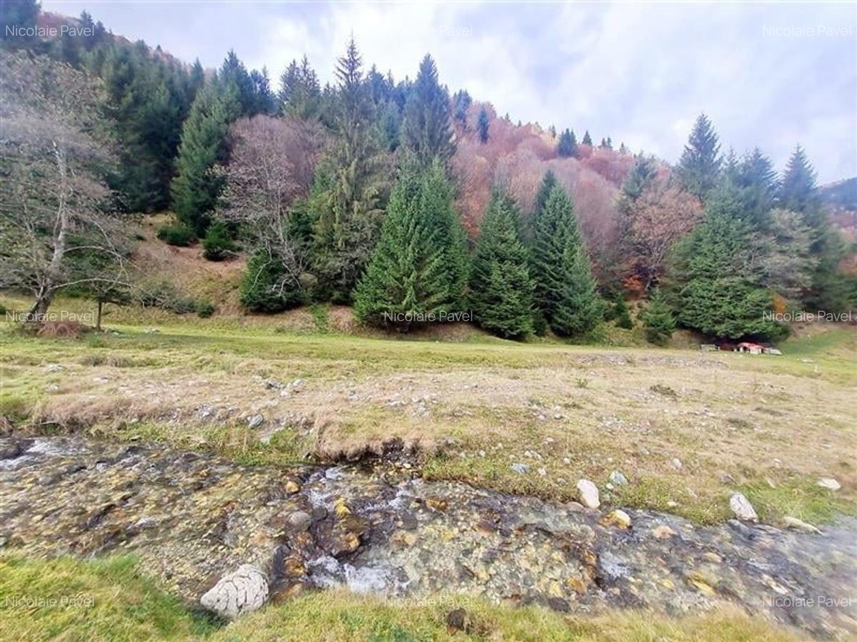 Teren intravilan panoramic 4.600mp,view iconic Piatra Craiului,oportunitate prem - 20