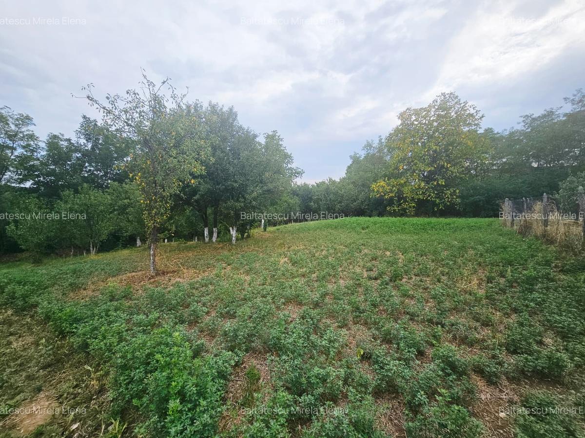 Teren intravilan, cu priveliște– Vălenii de Munte - 2