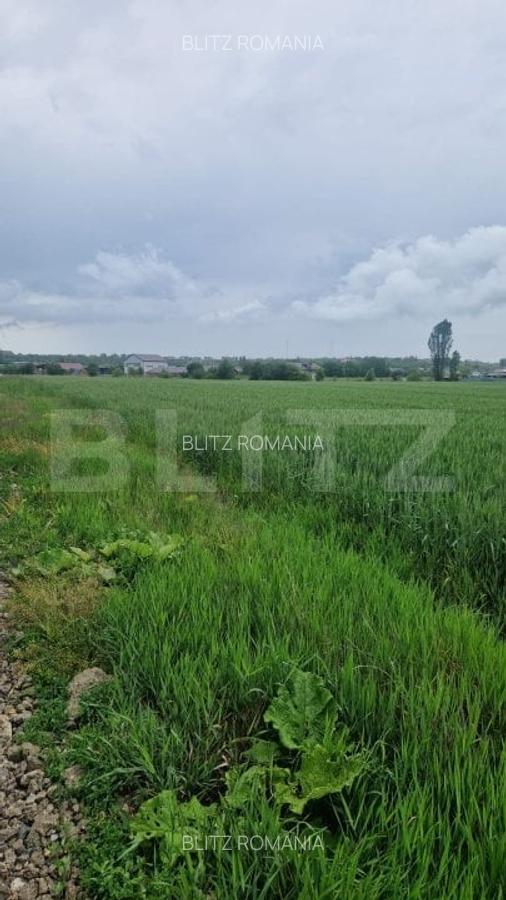 Teren pentru casa intravilan , 800 mp deschidere la drum Bod - 4 Teren pentru casa intravilan , 800 mp deschidere la drum Bod - 4
