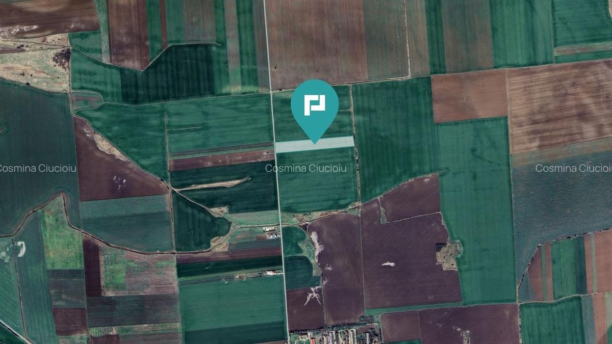 Teren 30.000 mp cu acces asfaltat - Peciu Nou - 3