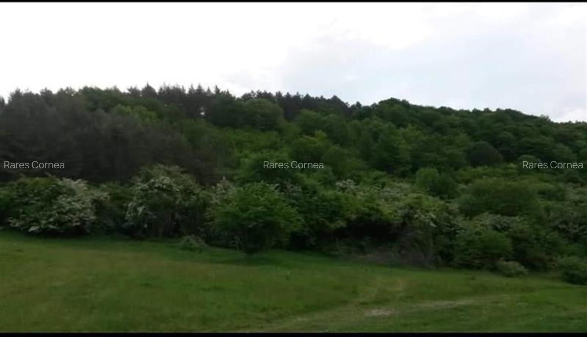 Vanzare teren intravilan 1540 mp in Faget - zona Sf Ion - 1