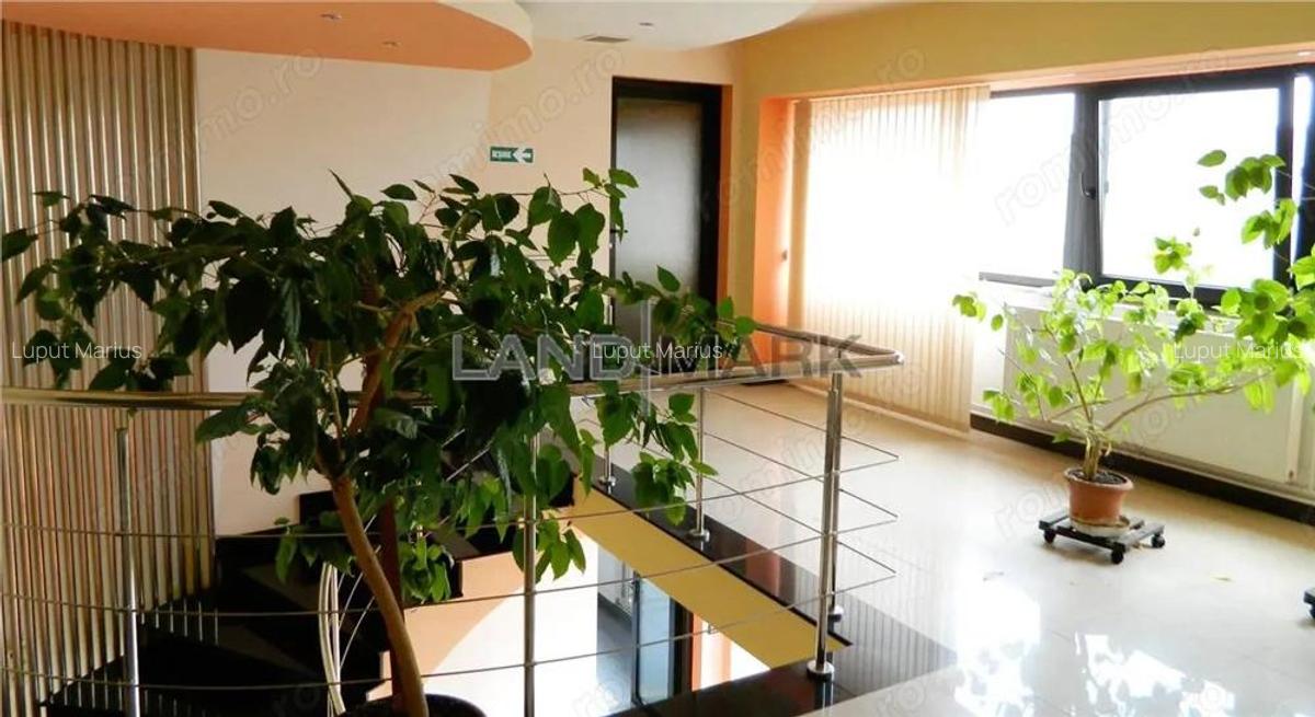 Hala industriala, 1600 mp cu teren 6500 mp , Timisoara Nord Vest - 14