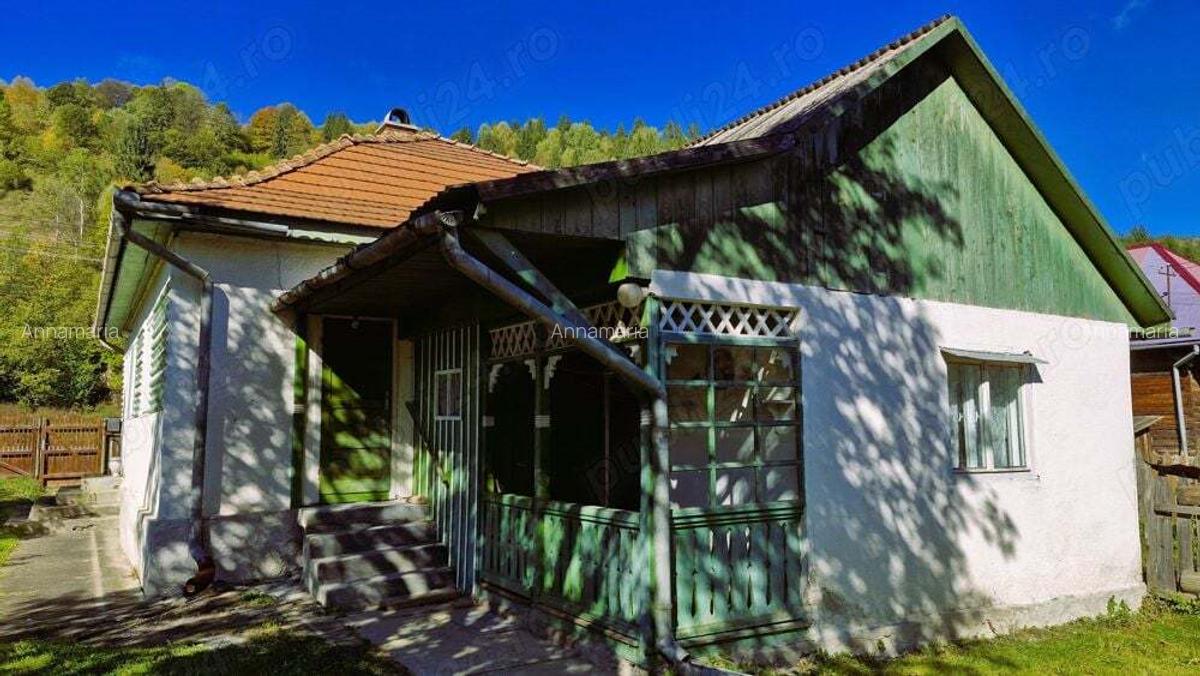 Casa cu teren 3000m2 intravilan - 5