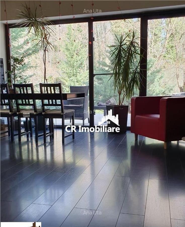 Vila 5 camere Baneasa - 4