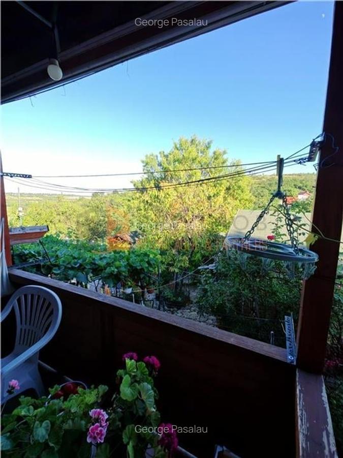 EXCLUSIVITATE! Casa+teren si cabana de lemn zona Naeni - 5
