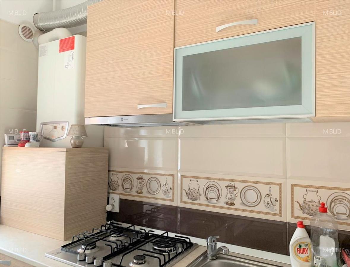 Inchiriere apartament 2 camere Natatiei - 6