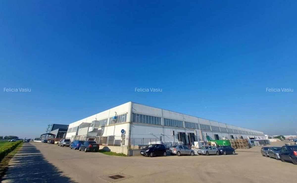 Spațiu industrial, 12876 mp în Sud - 3