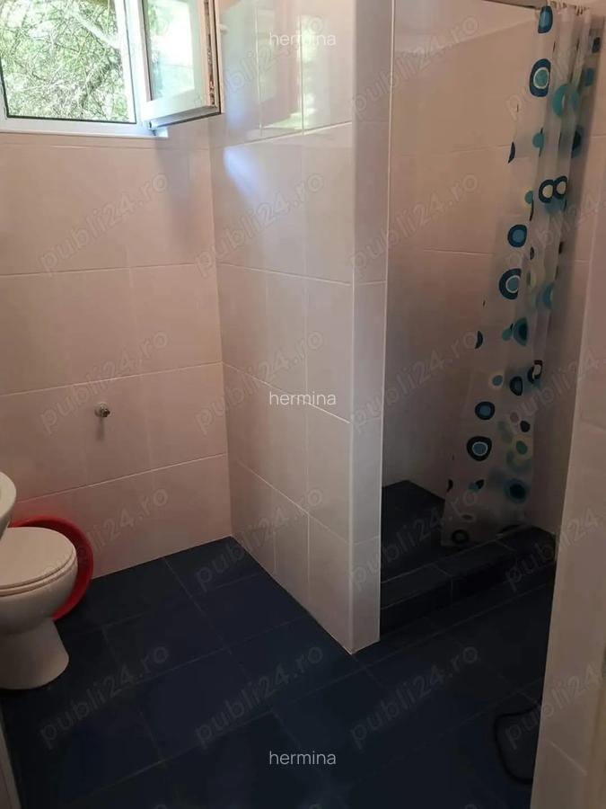 Casa de vacan?a, deosebita, sat Salard com Lunca Bradului Tel - 5