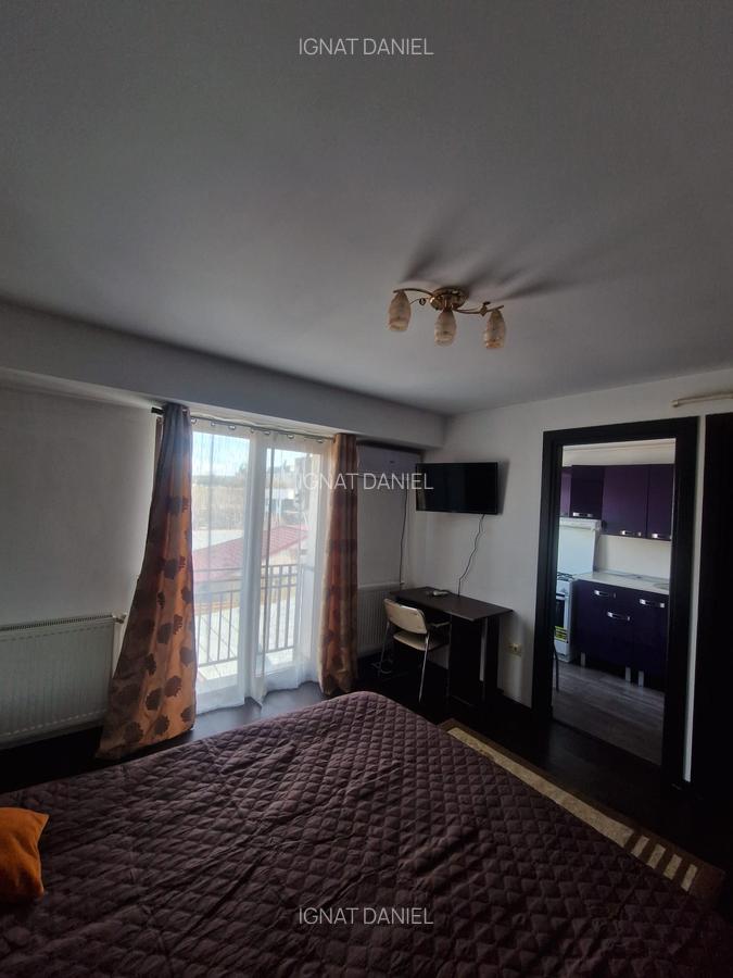 Apartament cu 1 camera, decomandat, zona Centru-Palas Campus - 2
