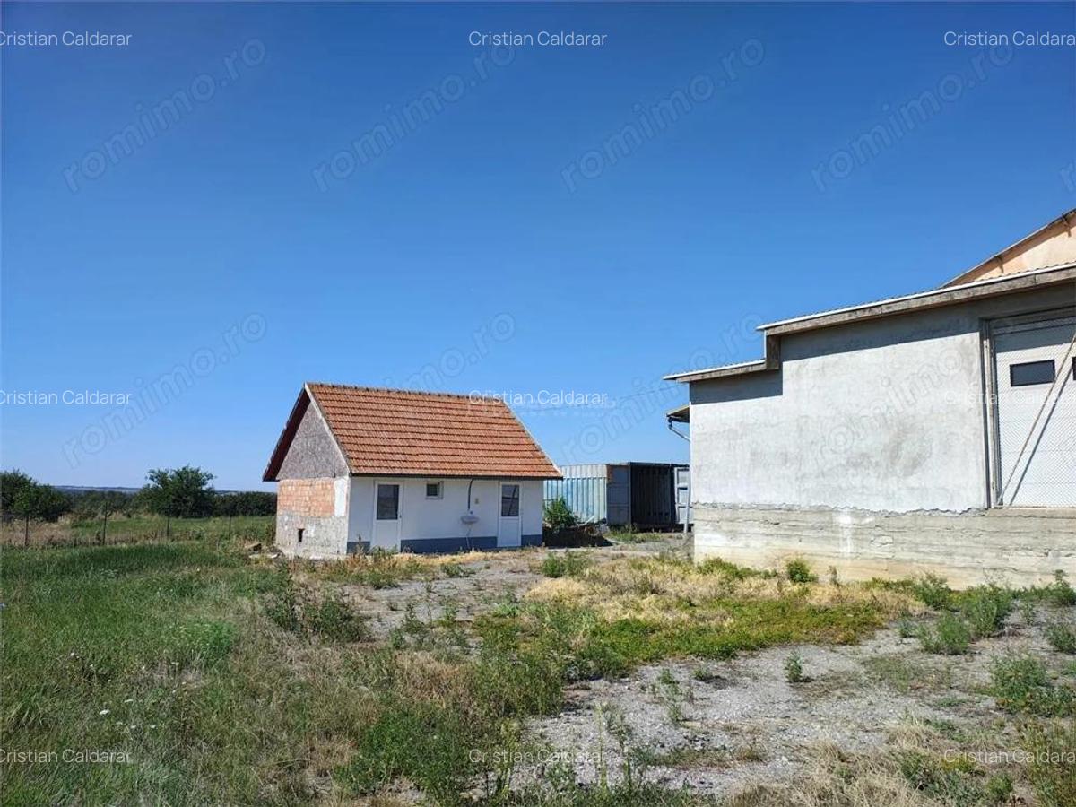 Hala industriala de vanzare sau inchiriere Misca - judetul Bihor - 972 mp construiti -Teren 12538 - 17