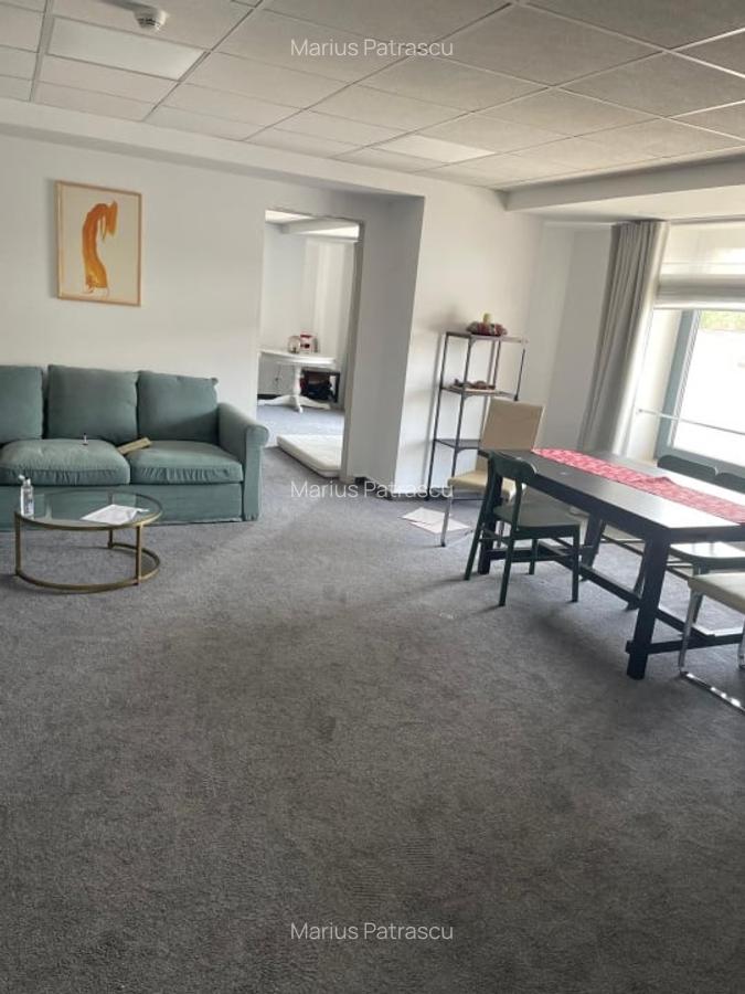 SPATIU DE INCHIRIAT TIMURI NOI-TINERETULUI - 5