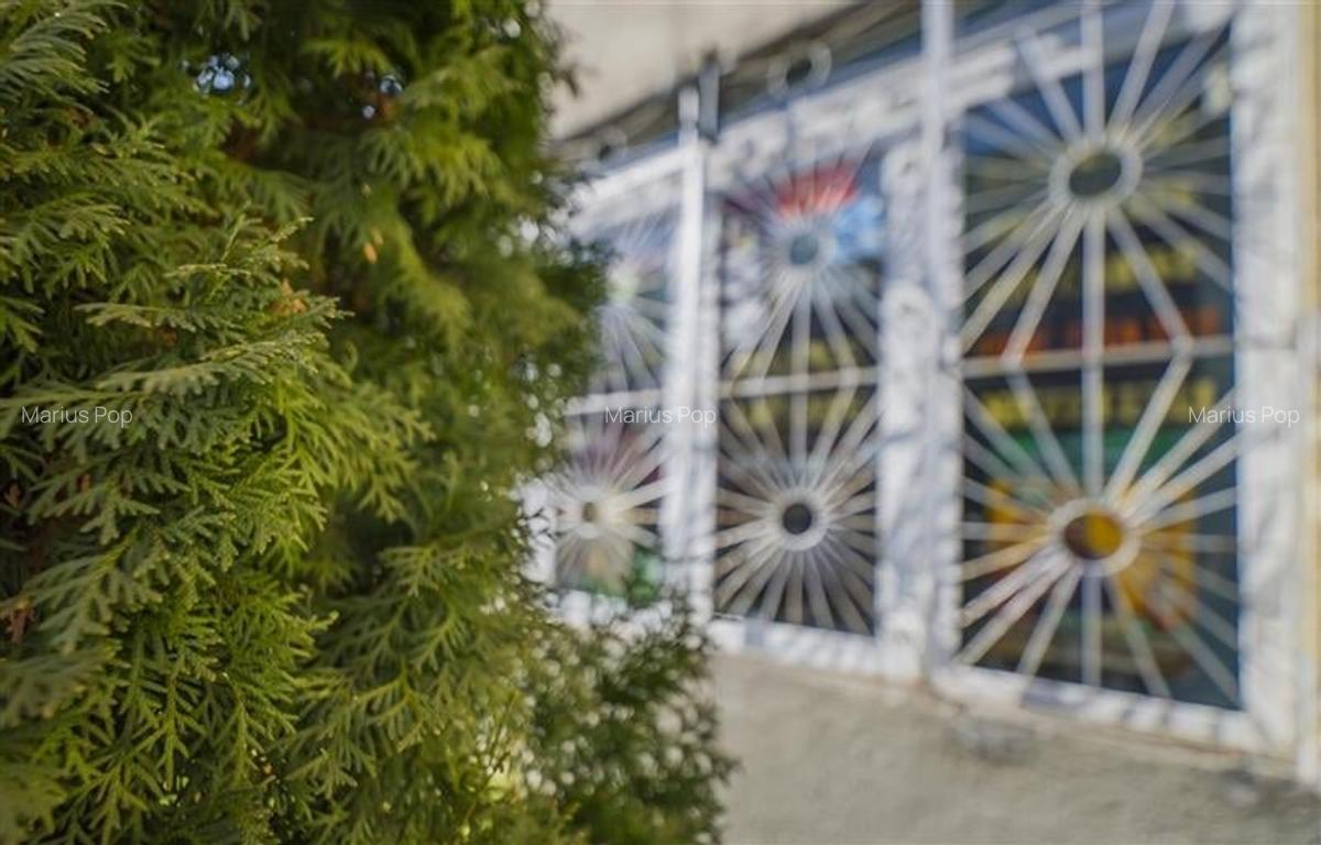 Spațiu comercial, 101 mp în Noua - 2