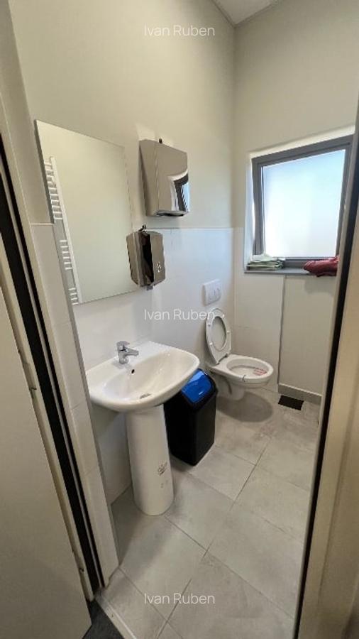 Hale de inchiriat Timisoara, Giarmata - 10