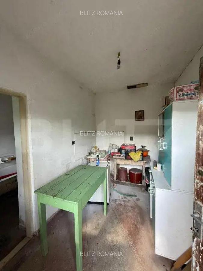 Casa batraneasca, renovabila, Comuna Danesti, Sat Vacarea, 2570 mp, front 25 ml - 7