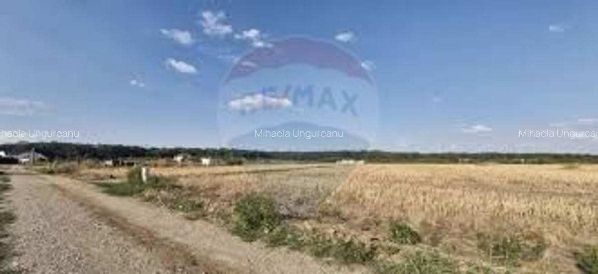 Teren intravilan 3,261mp Balotesti / Strada Rozelor - 2