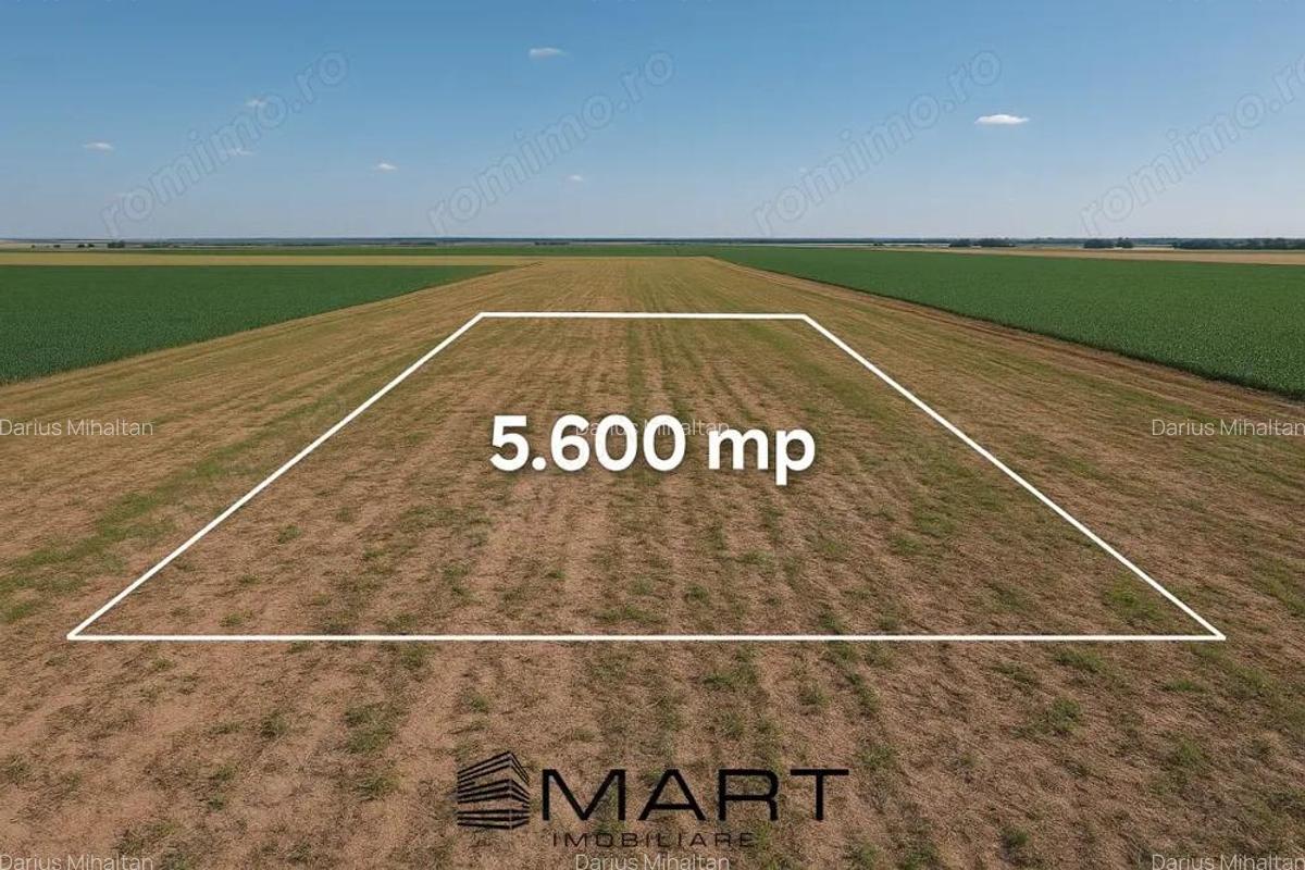 Teren extravilan 5600mp Daia Romana - Alba - 1