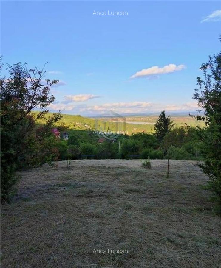 Teren Intravilan, Podgoria - 5