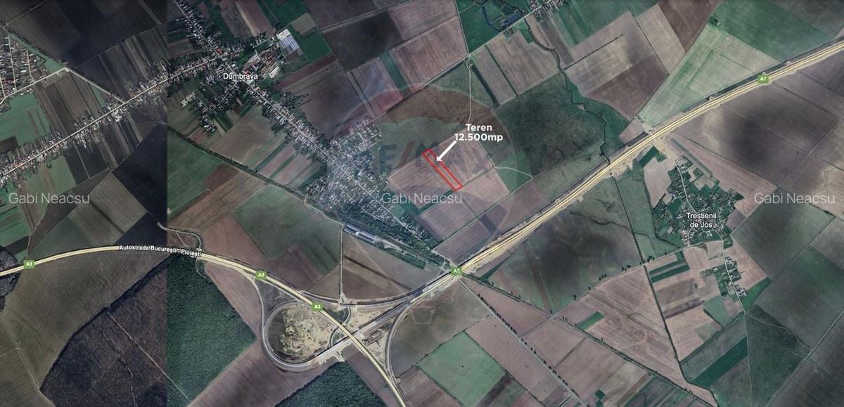 Teren 12.500 mp/Extravilan/ Dumbrava-Prahova - 5