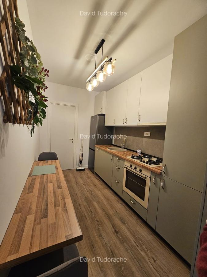 Studio modern Theodor Pallady - 3