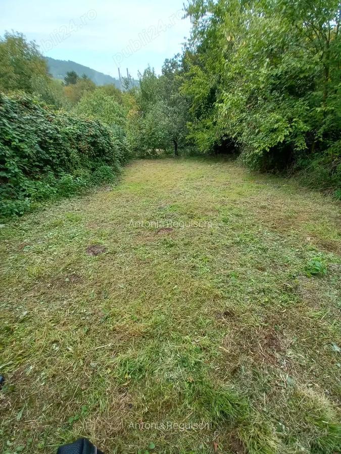 De vanzare casa batraneasca cu teren generos in Poiana Golului Re?i?a - 1 De vanzare casa batraneasca cu teren generos in Poiana Golului Re?i?a - 1