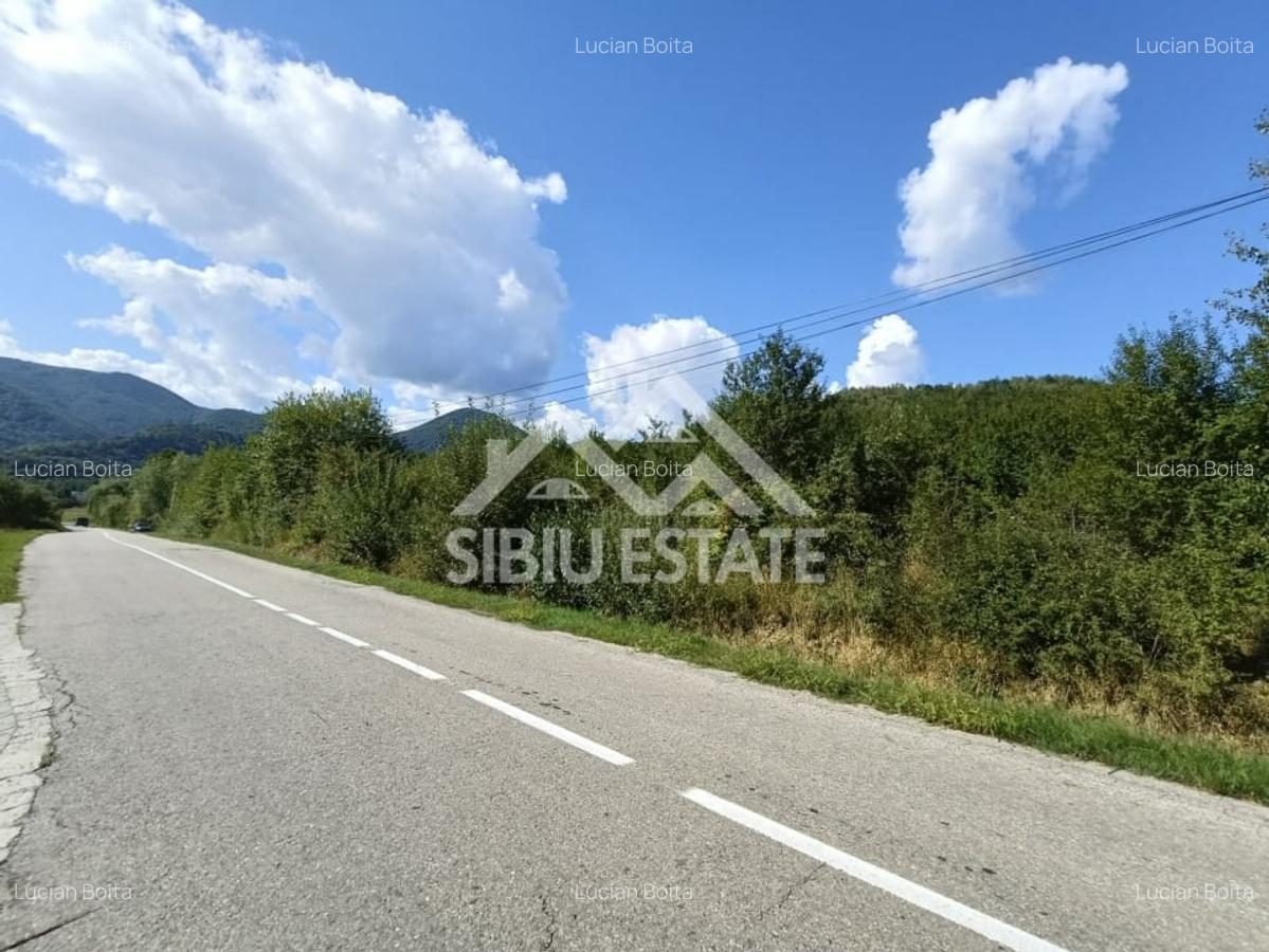 Teren  construibil ,la sosea, intre Vale si Sibiel, zona cu potential - 12