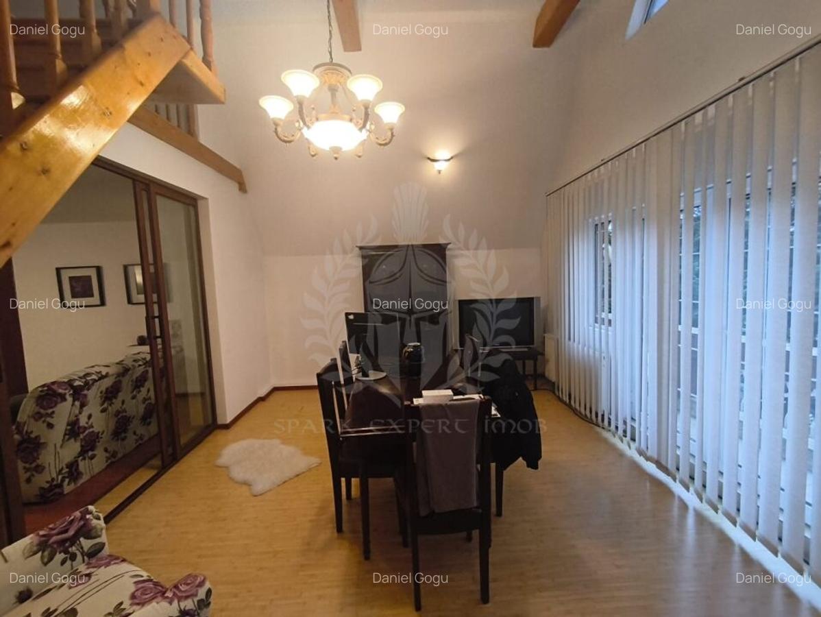 VILA CARTIER ALBERT//SUPRAFATA TEREN 3800MP//BULEVARDUL REPUBLICII - 11