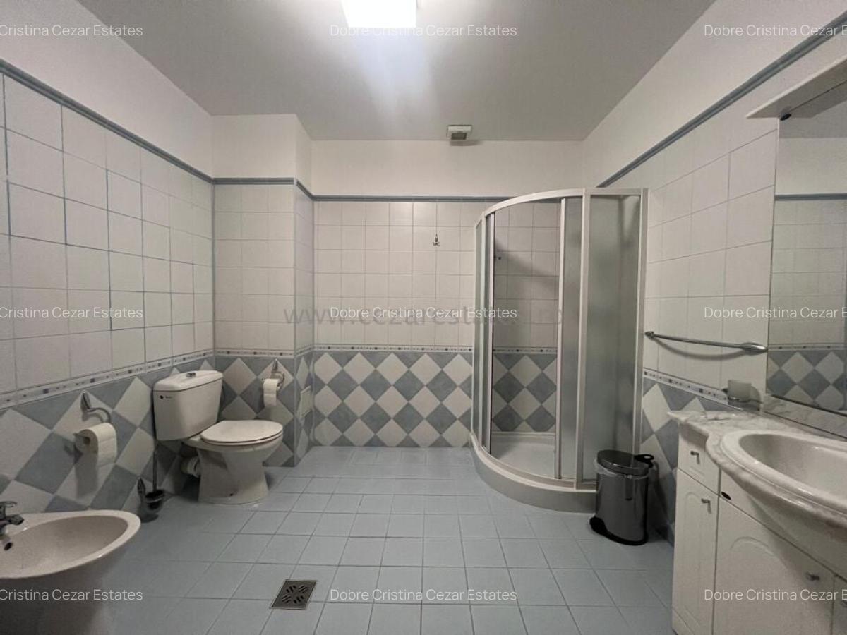 Spațiu comercial, 267 mp în Herăstrău - 25