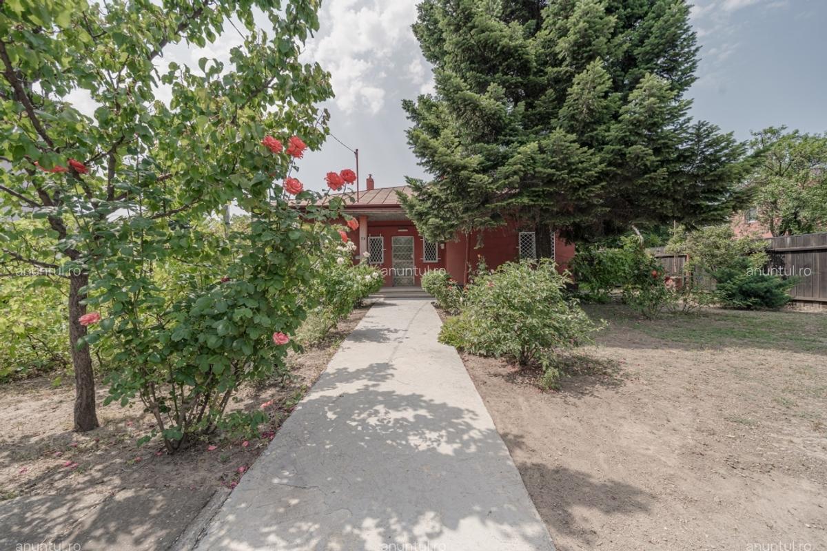 Laminorului 41 Teren 600 mp, Dubla deschidere 29x21, Casa caramida 140mp - 4