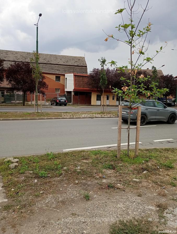 Spatiu comercial linga pia?a mehala - 4 Spatiu comercial linga pia?a mehala - 4