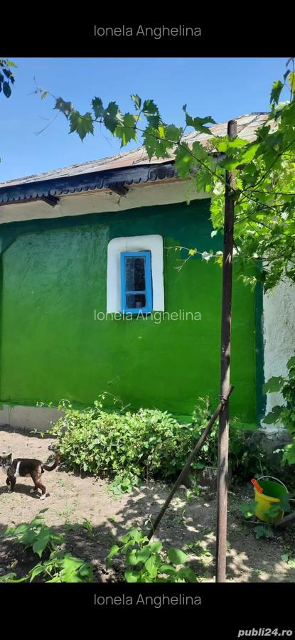 Vand casa in Teleorman, sat Albeni - 7