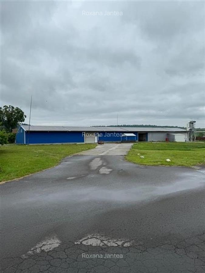 Spatii industriale pentru activitati de productie, depozitare sau distributie, Z - 2