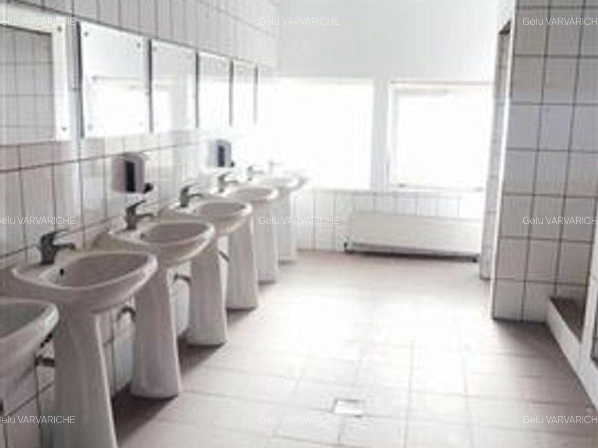 Hale in parcul Roman sau tractorul - 9