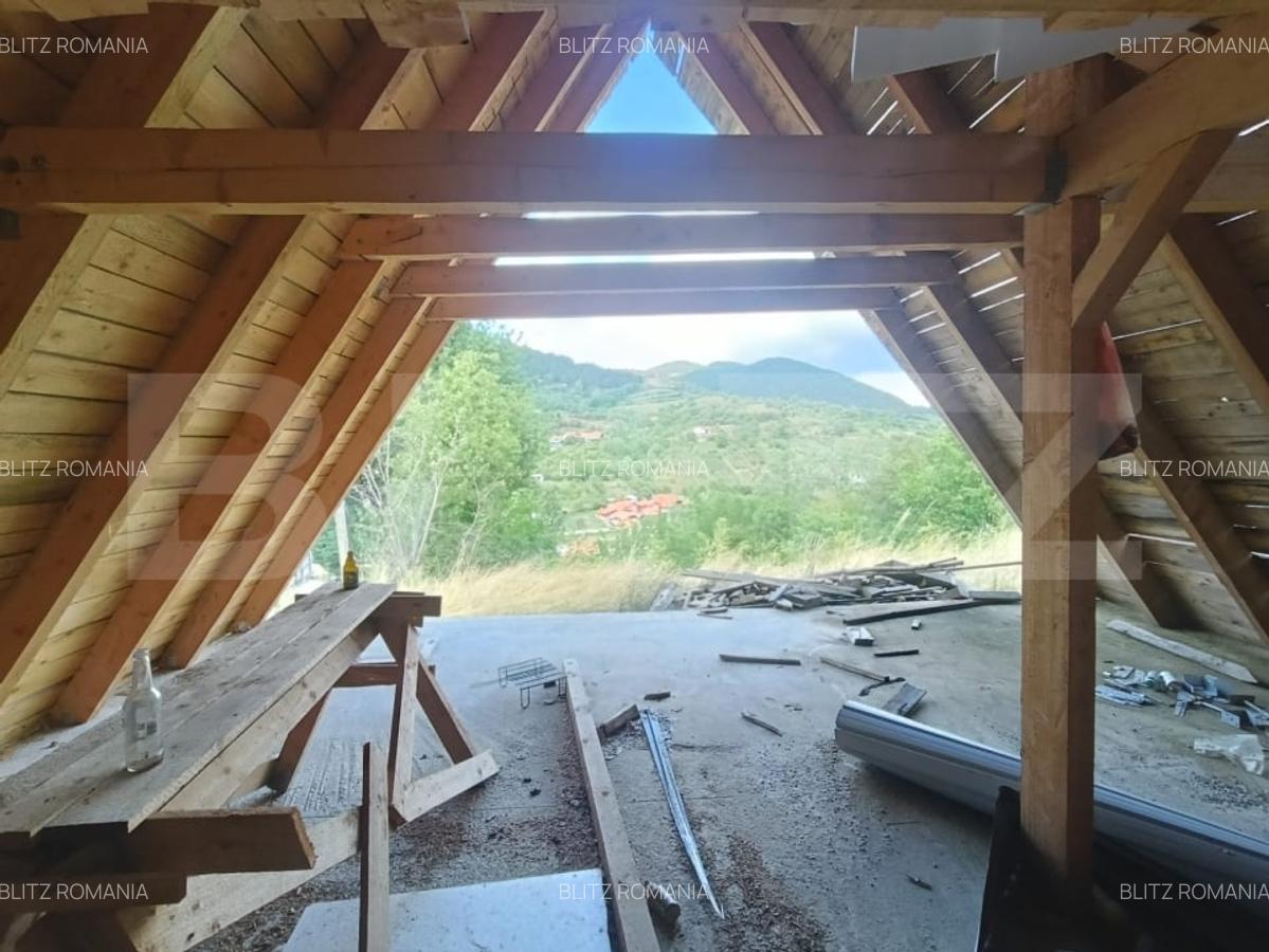 Cabana la rosu 150 mp cu teren de 3500 mp in Ampoita - 5
