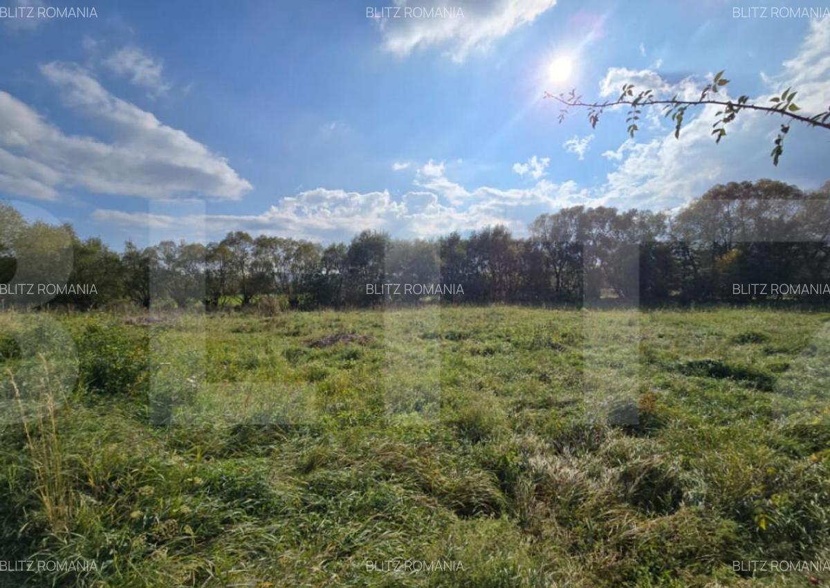 Teren intravilan 1200mp potrivit pentru o casuta de vacanta - 5