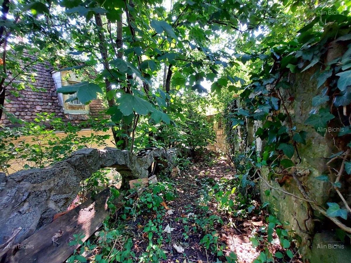 Vila impozanta  intr-o zona deosebita cu 1.440 mp teren - 25