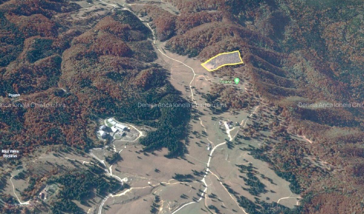 Ocazie unica la licitatie: Teren cu Potential Turistic Major in Poiana Brasov - 8